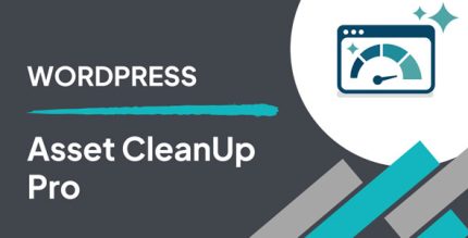 Asset-Cleanup-Pro